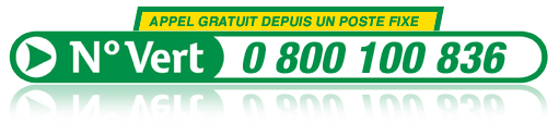 Contactez-nous au 0 800 100 836 ou au 06 65 13 07 07 en urgence pour une désinfection de punaise de lit